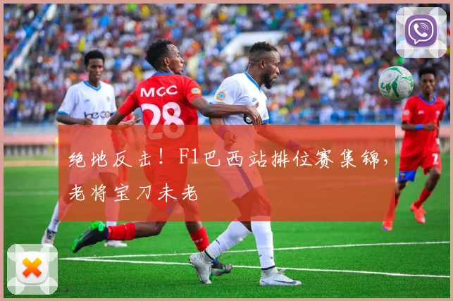 绝地反击！F1巴西站排位赛集锦，老将宝刀未老