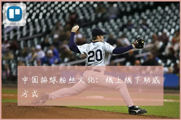 中国排球粉丝文化:线上线下助威方式
