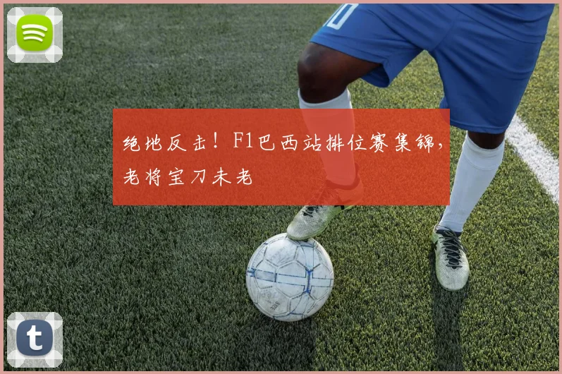 绝地反击!F1巴西站排位赛集锦,老将宝刀未老