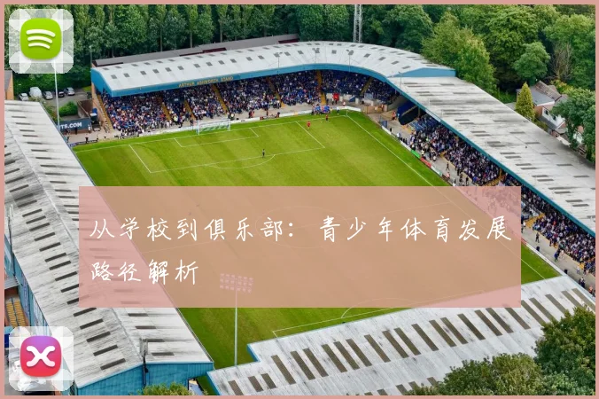 从学校到俱乐部:青少年体育发展路径解析