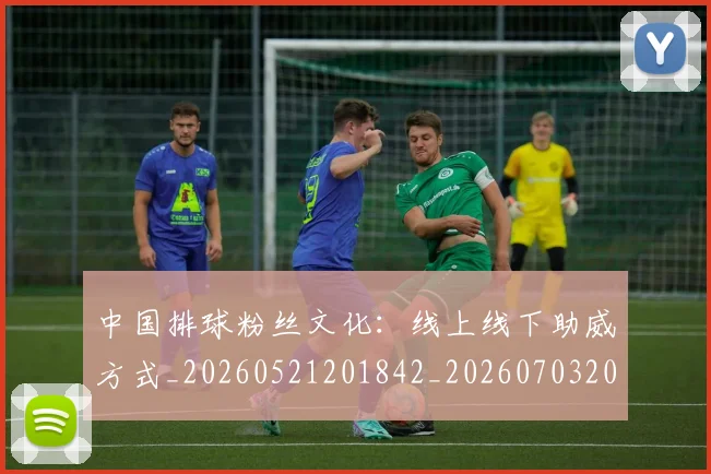 中国排球粉丝文化：线上线下助威方式_20260521201842_20260703205154