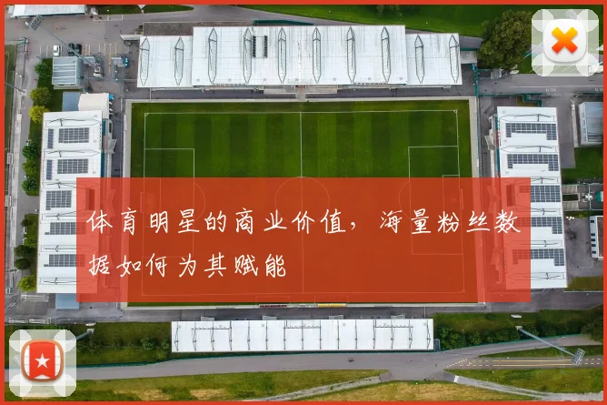 体育明星的商业价值,海量粉丝数据如何为其赋能
